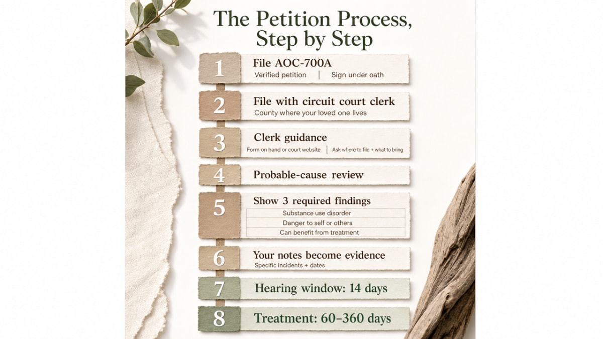 Using Casey's Law: A Step-by-Step Guide for Families 2 Visualize the cited sequential legal workflow families must follow, anchoring the section's step-by-step structure with the specific statutory timeline (14-day hearing window, 60-360 day treatment range)