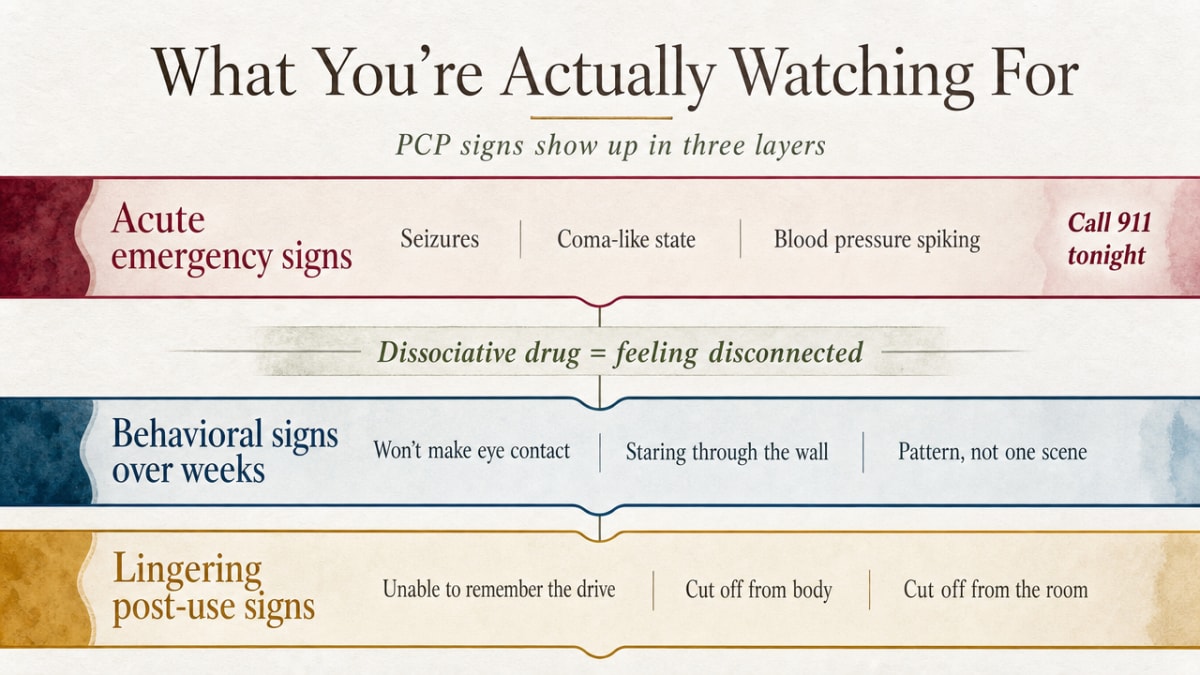 The Signs of PCP Use: Red Flags for Families 1 Visualize the three-tier framework introduced in the opening section: acute emergency signs, behavioral signs tracked over weeks, and lingering post-use signs. This directly mirrors the section's central organizing idea