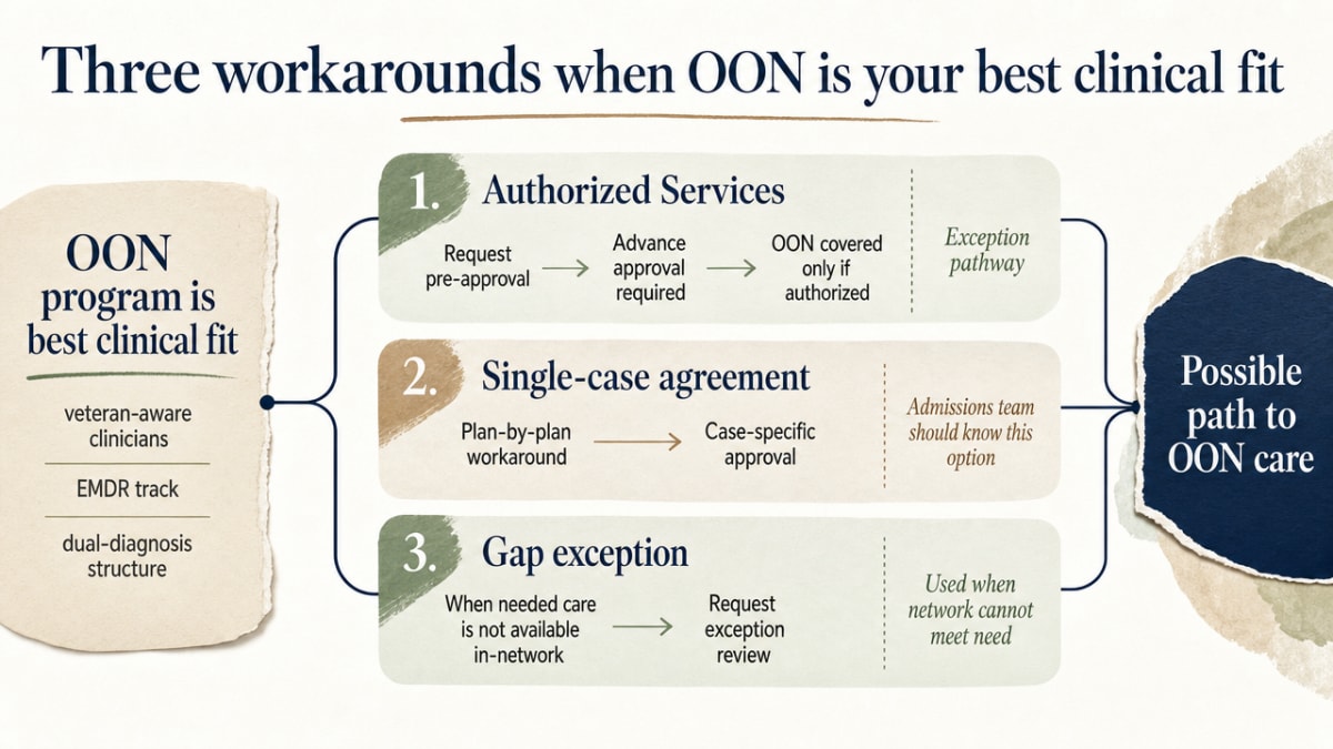 Visualize the three named workarounds as a clear process comparison so readers can distinguish Authorized Services, single-case agreements, and gap exceptions